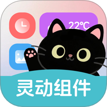 靈動(dòng)皮膚小組件