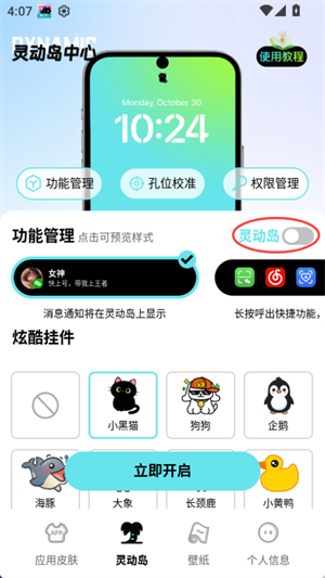 靈動(dòng)皮膚小組件