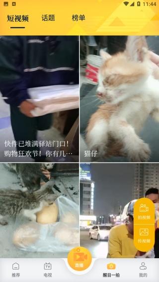 醒目視頻官方正版