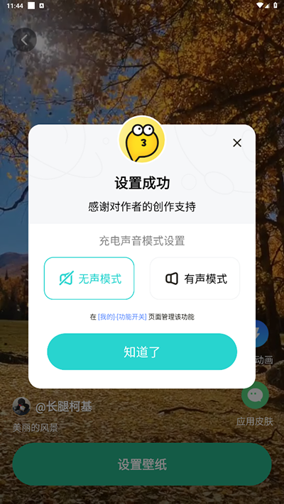 叮咚壁紙