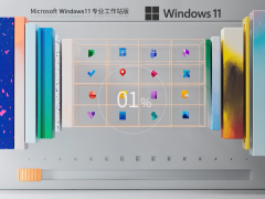 Windows11 22H2 64位 專業(yè)工作站版 | Win11設計師專用版