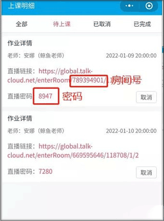 拓課云Plus