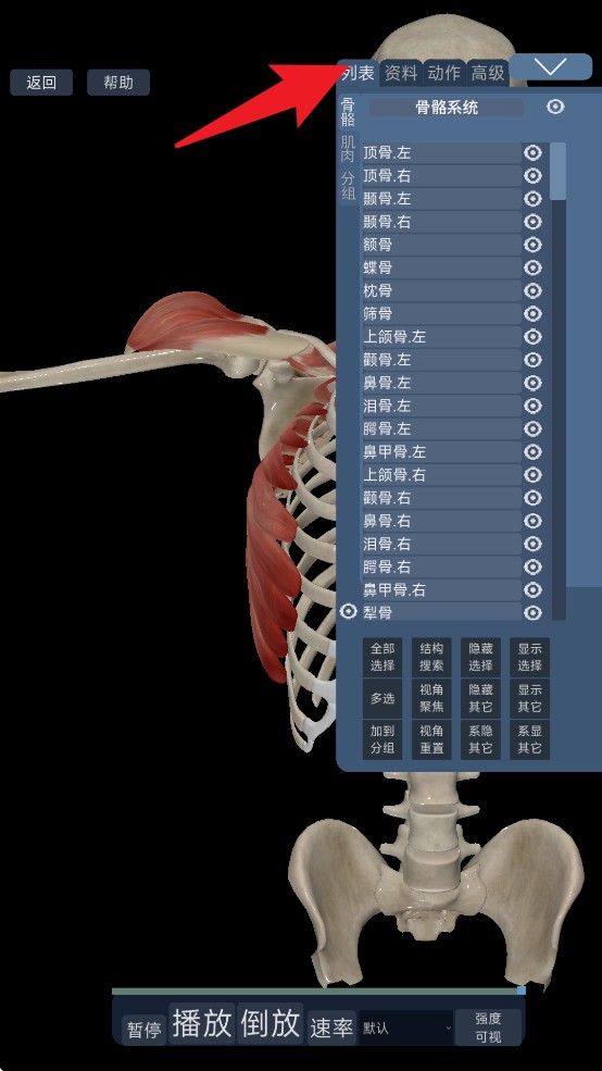 3d動(dòng)態(tài)解剖安卓版