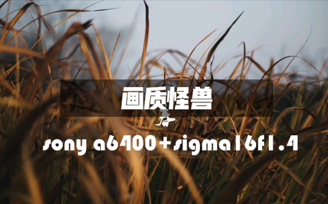 畫質(zhì)怪獸各種版本大全-畫質(zhì)怪獸全部版本集合-畫質(zhì)怪獸軟件版本下載