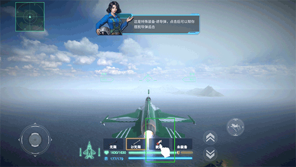 藍天衛(wèi)士國際服