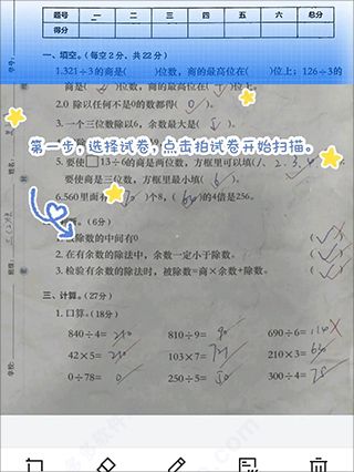 蜜蜂試卷
