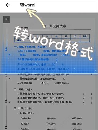 蜜蜂試卷