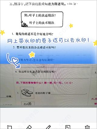 蜜蜂試卷