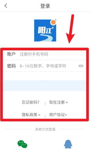 陽江plus官方版