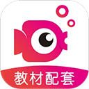 鯉魚輔導(dǎo)APP