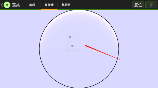 游戲攻略3