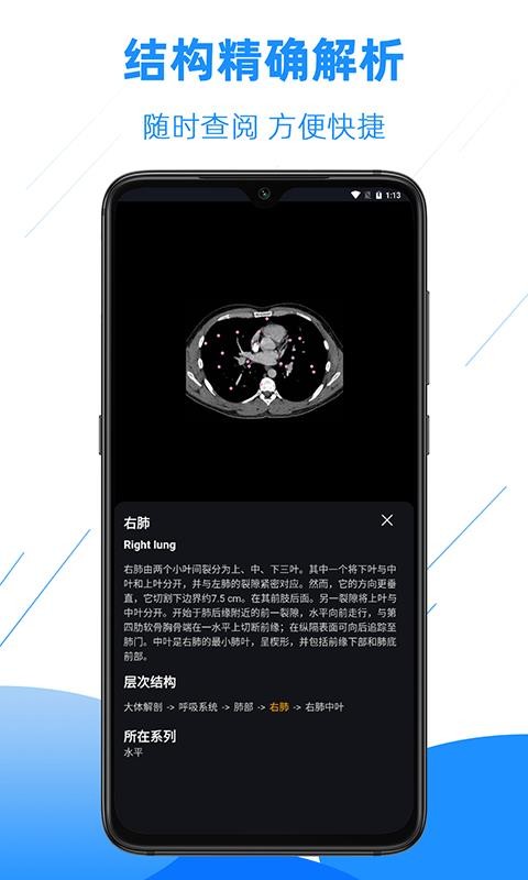 影像解剖圖譜