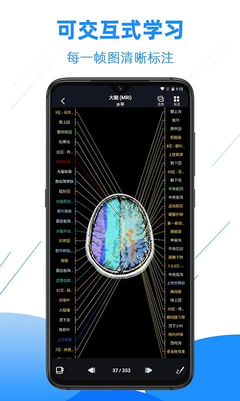 影像解剖圖譜