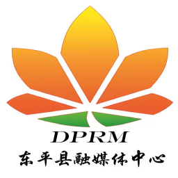 東平手機臺官方版