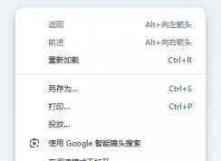 Chrome電腦版怎么翻譯網(wǎng)頁(yè)
