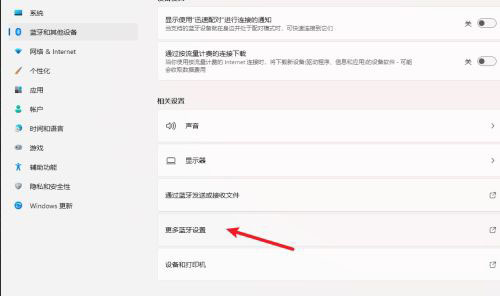 win11藍(lán)牙圖標(biāo)不見(jiàn)了怎么辦