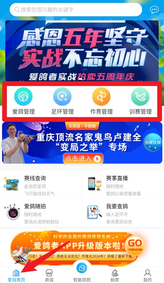 愛鴿者app手機(jī)版