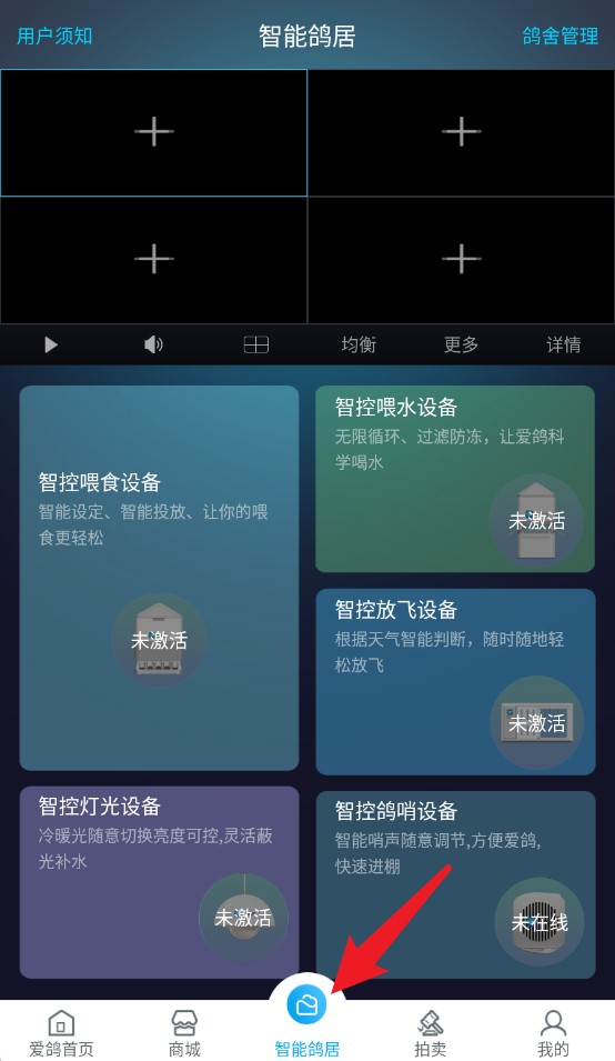 愛鴿者app手機(jī)版