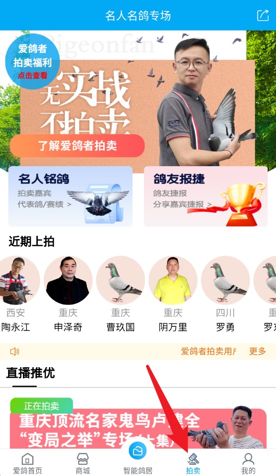 愛鴿者app手機(jī)版