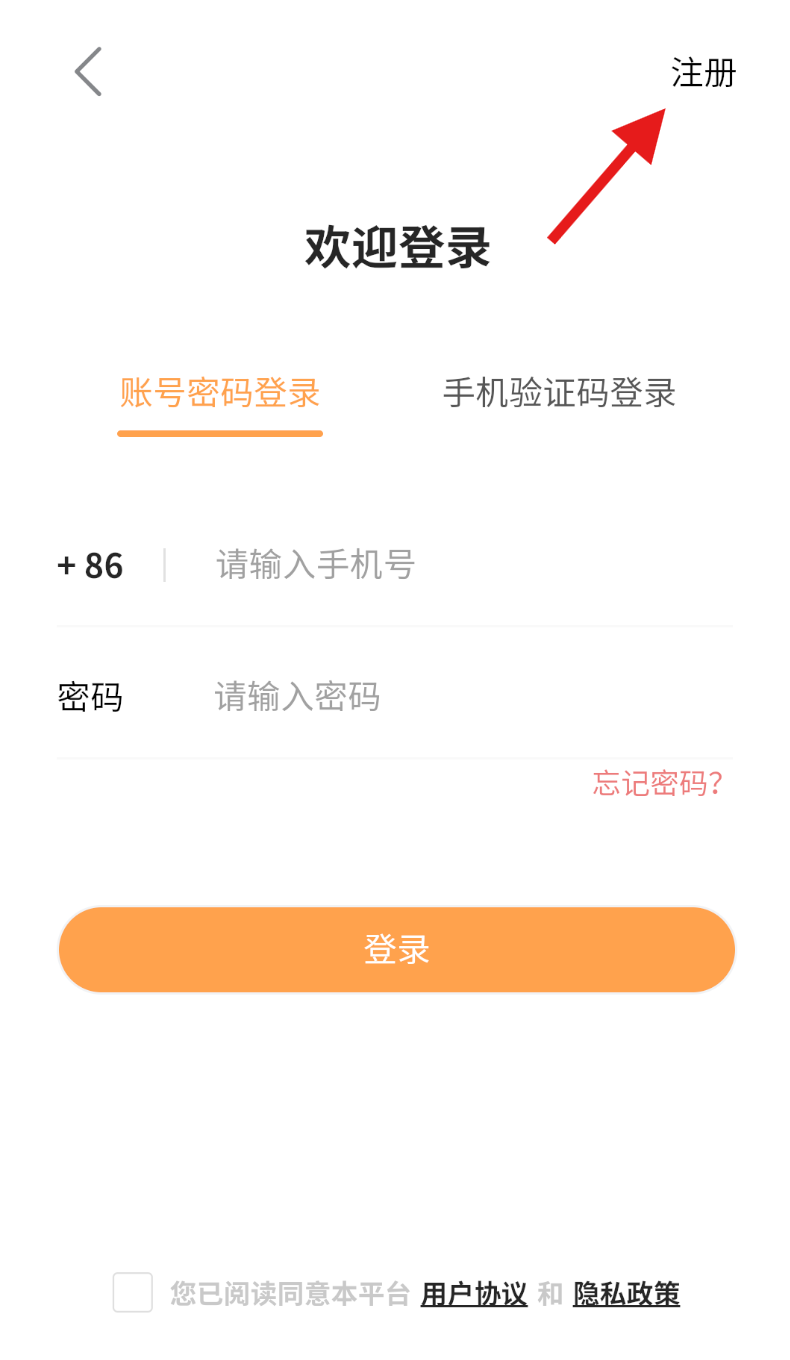 看埇橋