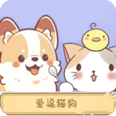 愛(ài)逗貓狗