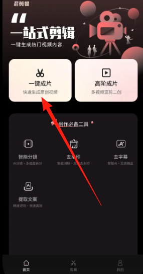 混剪蜂