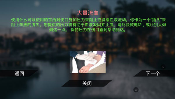 真實泊車2