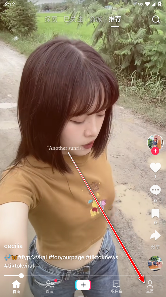 tiktok國際版