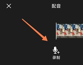 剪輯貓