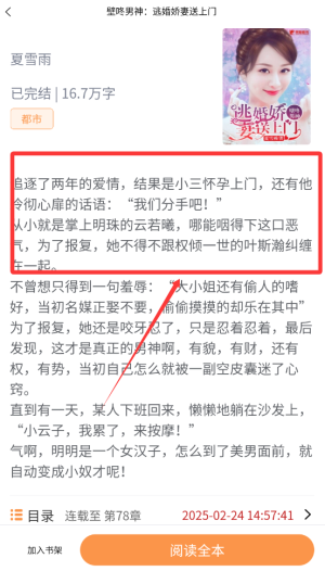 心動小說