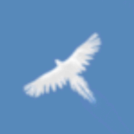 天之鳥(Sky Bird)