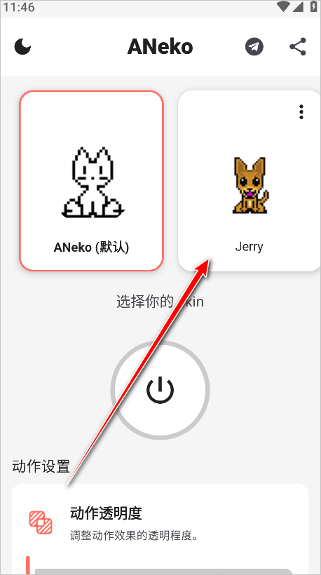 ANeko