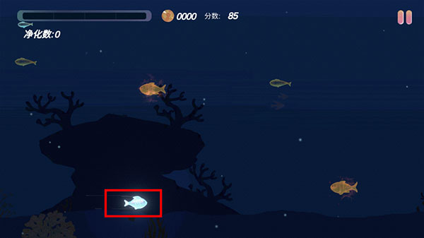 小魚(yú)