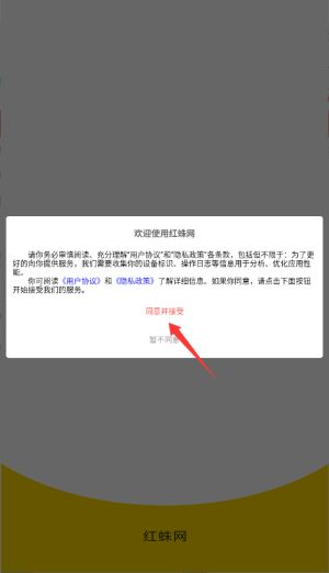 紅蛛網(wǎng)
