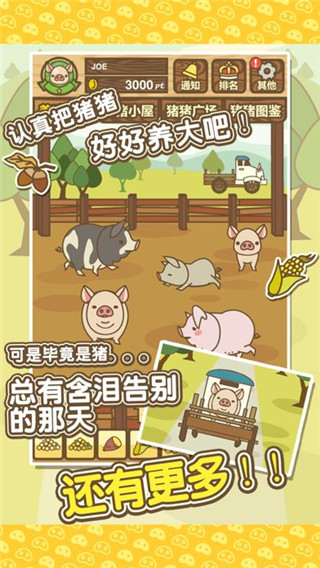 養(yǎng)豬場mix