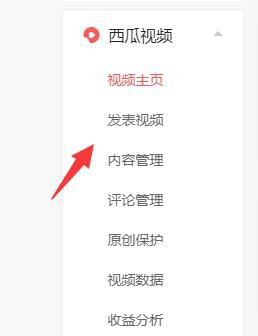 西瓜視頻APP
